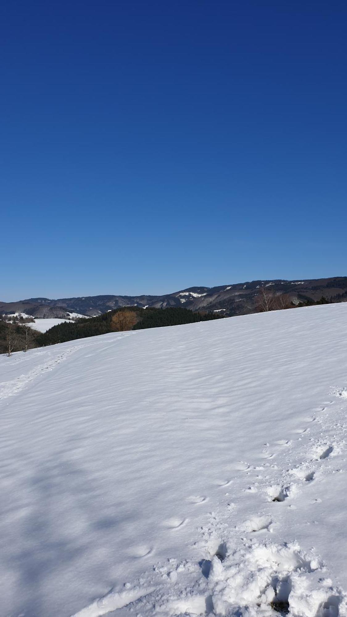 Haus Panorama Mit Alpenblick Villa Kleines Wiesental Exterior foto
