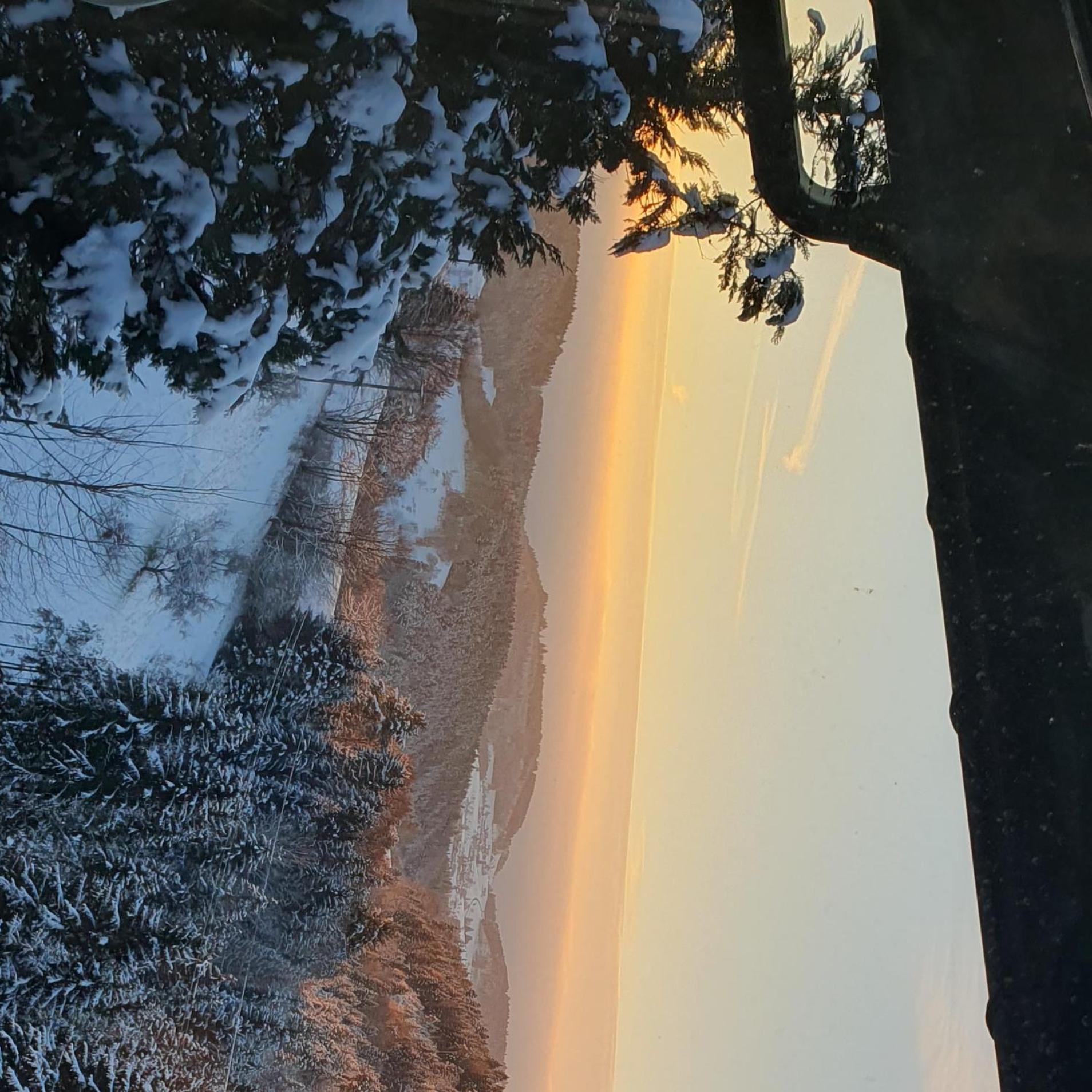 Haus Panorama Mit Alpenblick Villa Kleines Wiesental Exterior foto